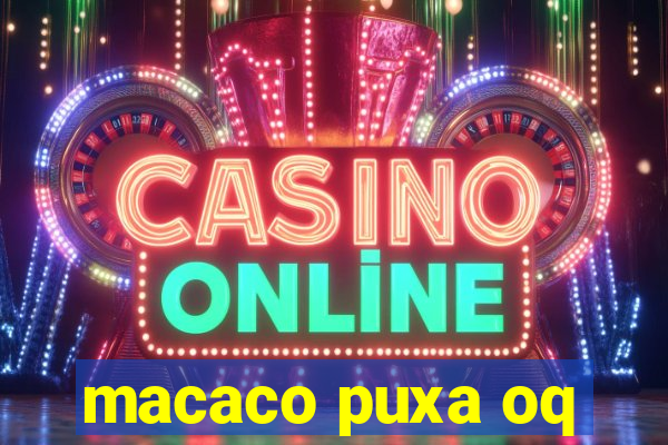 macaco puxa oq